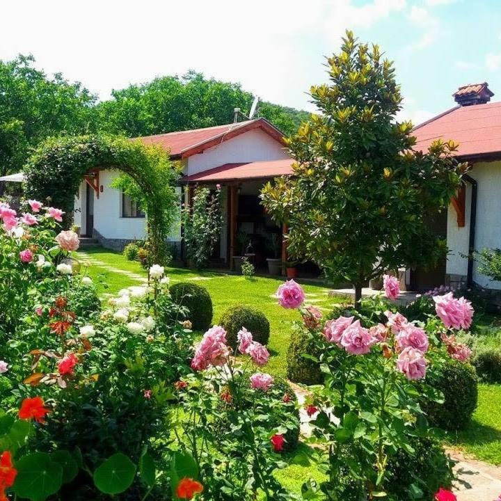 Guest House Raiski Kаt Mezek Exterior foto